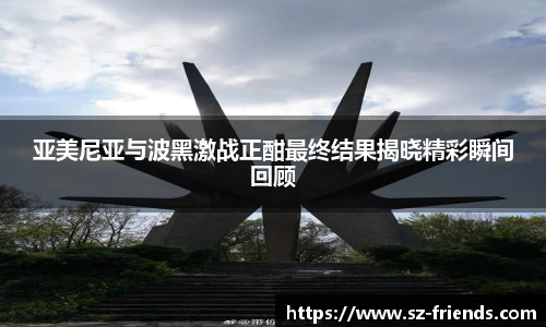 亚美尼亚与波黑激战正酣最终结果揭晓精彩瞬间回顾